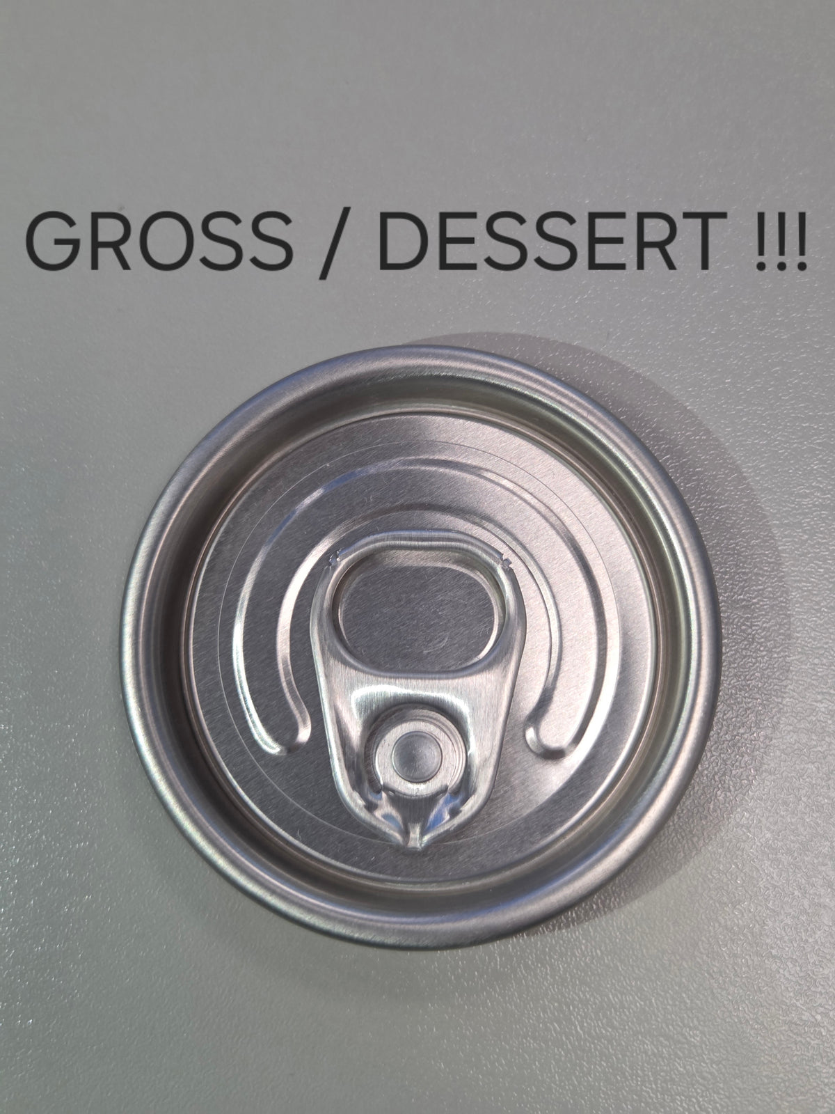 Deckel Dose to Go mit Haken GROSS DESSERT 100 / Strang - von Limepack & Ragaller - Nur €10! Bestelle jetzt Kikis Kitchen